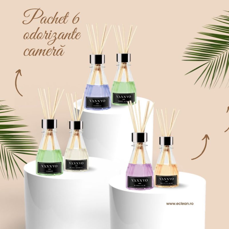 Pachet promo 6 x Odorizant camera cu betisoare 100 ml